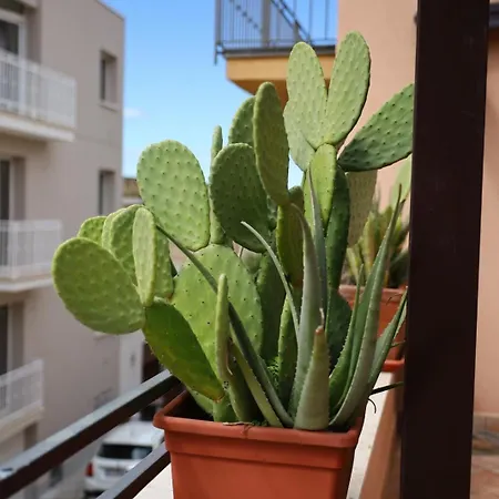 Sole Di Trinacria *